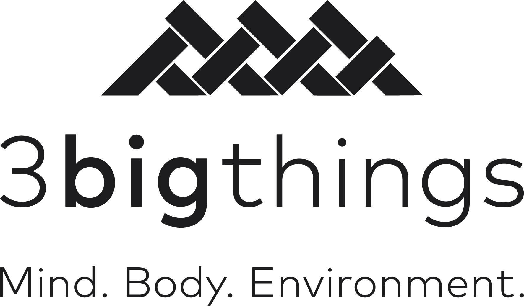 3 Big Things